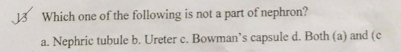 Which of the following is not a part of the nephron? a) Nephric tubule b) Ureters-example-1