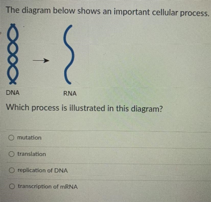 PLEASE HELP ME WITH THIS BIOLOGY QUESTIONN :)) THANK YOUU-example-1