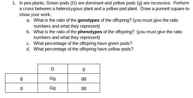 Punnet squares, 75 points-example-1