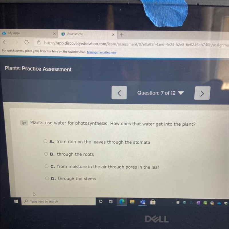 Plants use water for photosynthesis. How does that water get into the plant? framinan-example-1