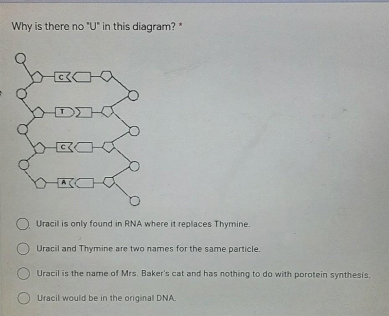 Why is there no "U" in this diagram?​ help. this determines if I pass or-example-1