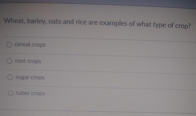 Wheat, barely ,oats and rice are examples of what type of crop ?​-example-1