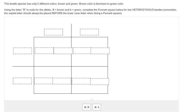 Using the letter "B" to code for the alleles, B = brown and b = green, complete-example-1