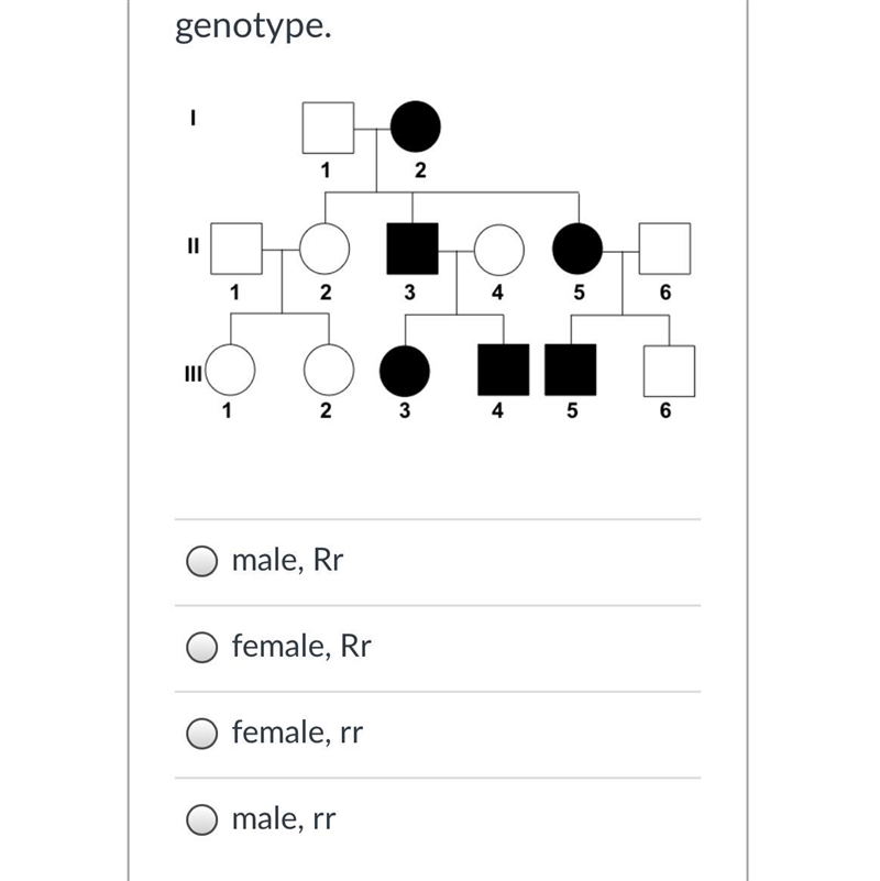 Person #5 in generation II is a _________ with _________ genotype.-example-1