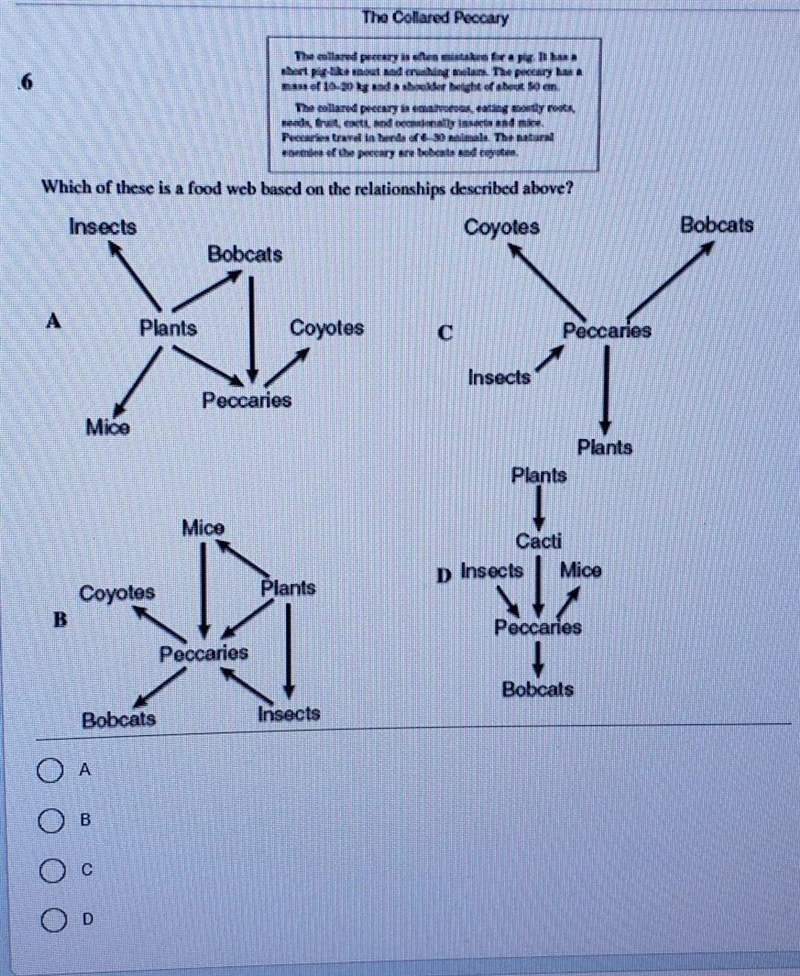 Which of these is a food web based on the relationships described above? ​-example-1