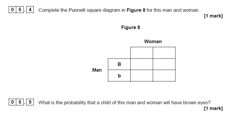 Pls help me with 5.4 and 5.5 thanks-example-1