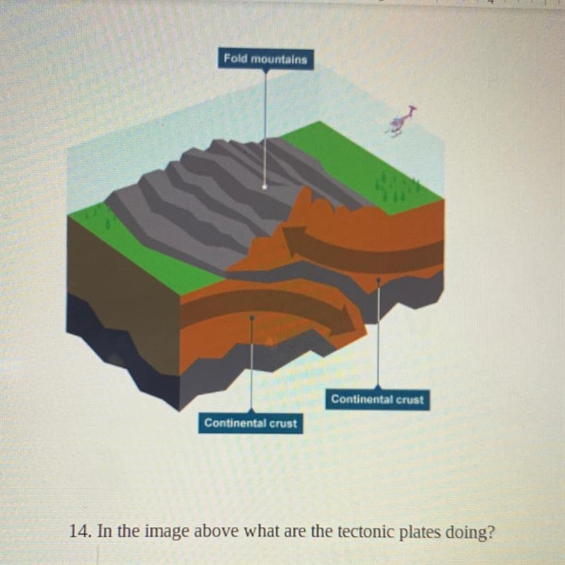 Please Help (Didn’t find science so I put biology for subject)-example-1