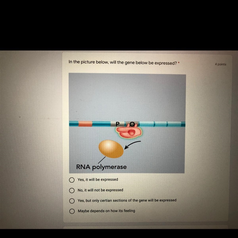 Please help with this question!-example-1