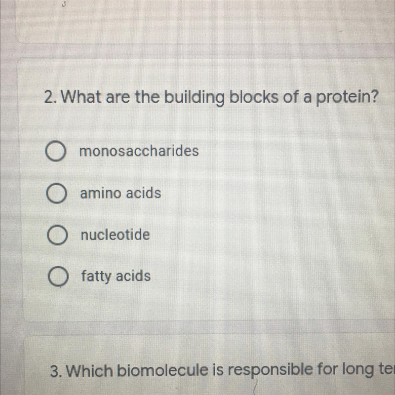 What are the building blocks of proteins-example-1