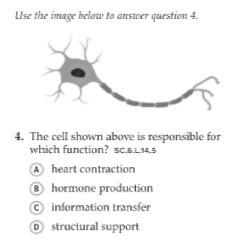 A simple multiple choice question (good luck!!) [25 points]-example-1