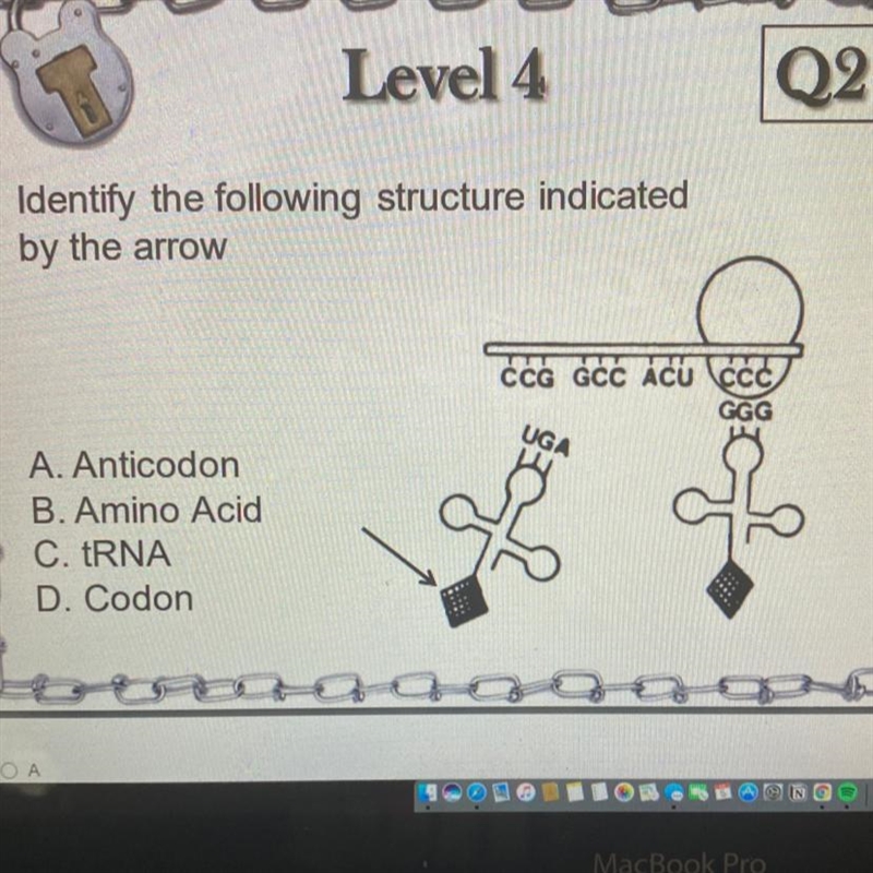 Help me with the picture-example-1