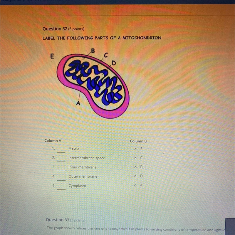 Question 32 (5 points) LABEL THE FOLLOWING PARTS OF A MITOCHONDRION B E Column A Column-example-1