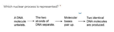 Translation Recombintation Transcription Replication-example-1