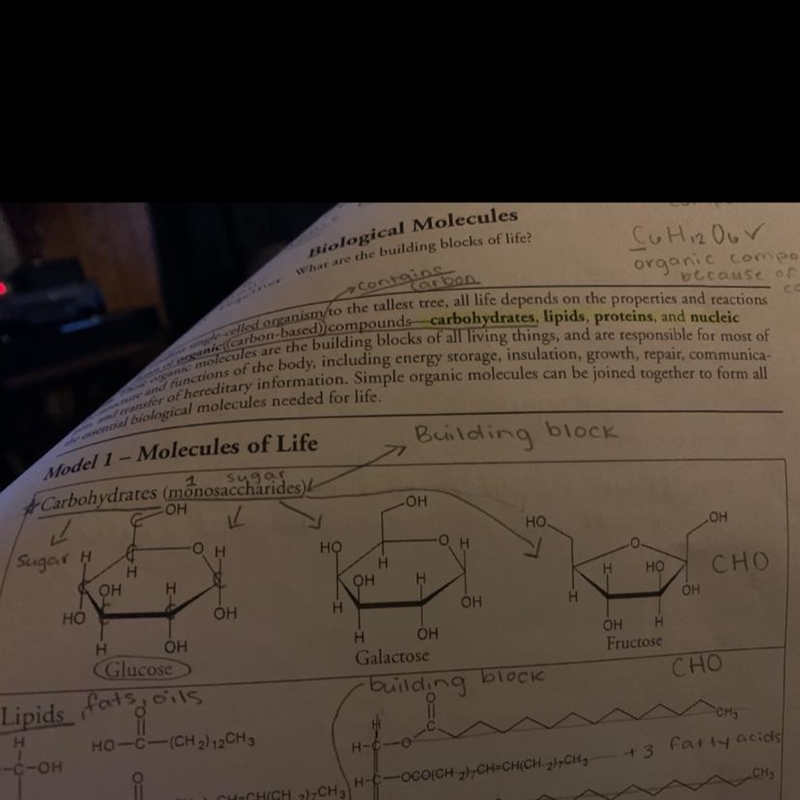 What is the chemical formula of the first carbohydrate shown?-example-1