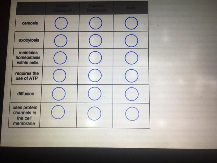 Active transport, Passive transport, Both-example-1