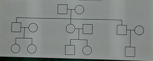 How many males are shown in this pedigree?​-example-1