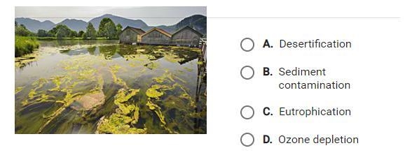 Which effect of pollution does the photograph show?-example-1