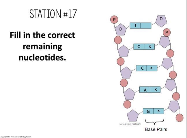 Fill in the nucleotides-example-1