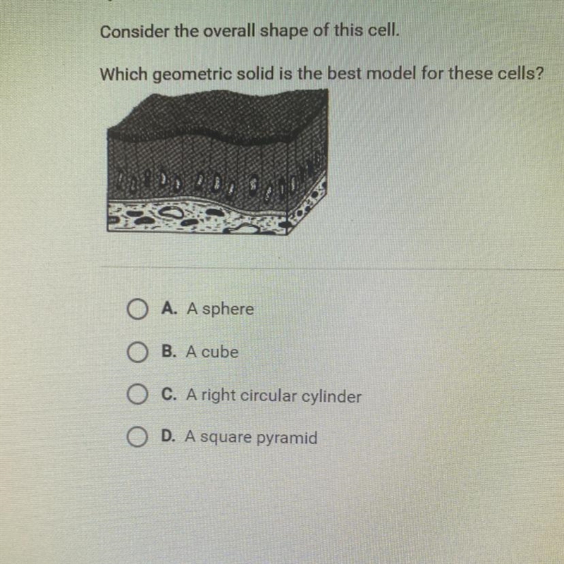 Which geometric solid is the best model for these cells? GOED DOO A. A sphere B. A-example-1