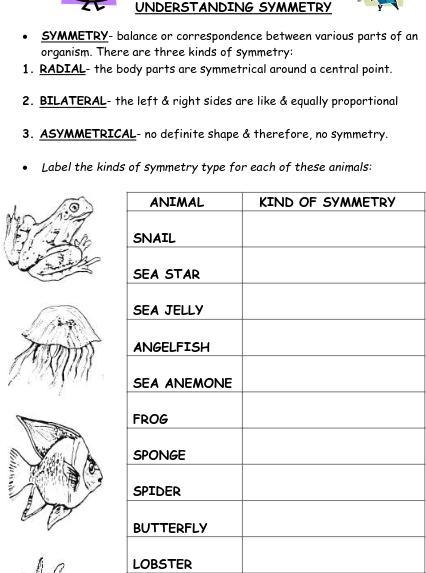 What are the kinds of symmetry for these animals-example-1