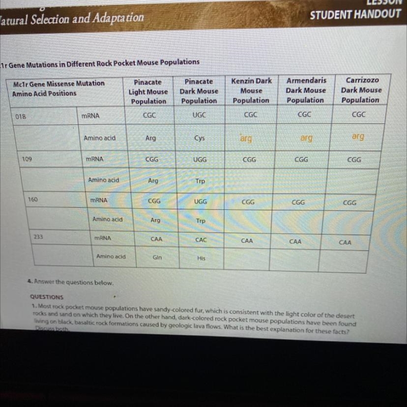 using a genetic code chart and the mRNA codons provided in the table below, fill in-example-1