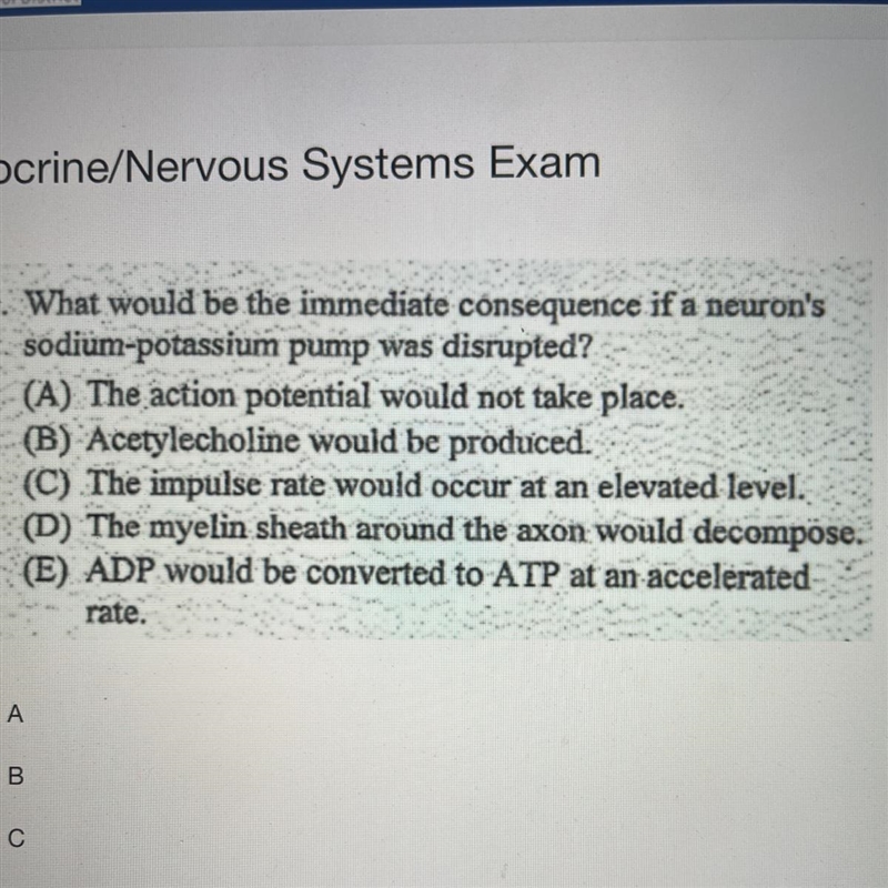 What would be the immediate consequence if a neurons sodium-potassium pump was disrupted-example-1