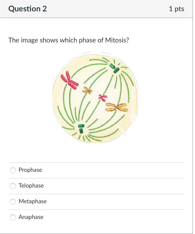 Helpp a biology quiz-example-1