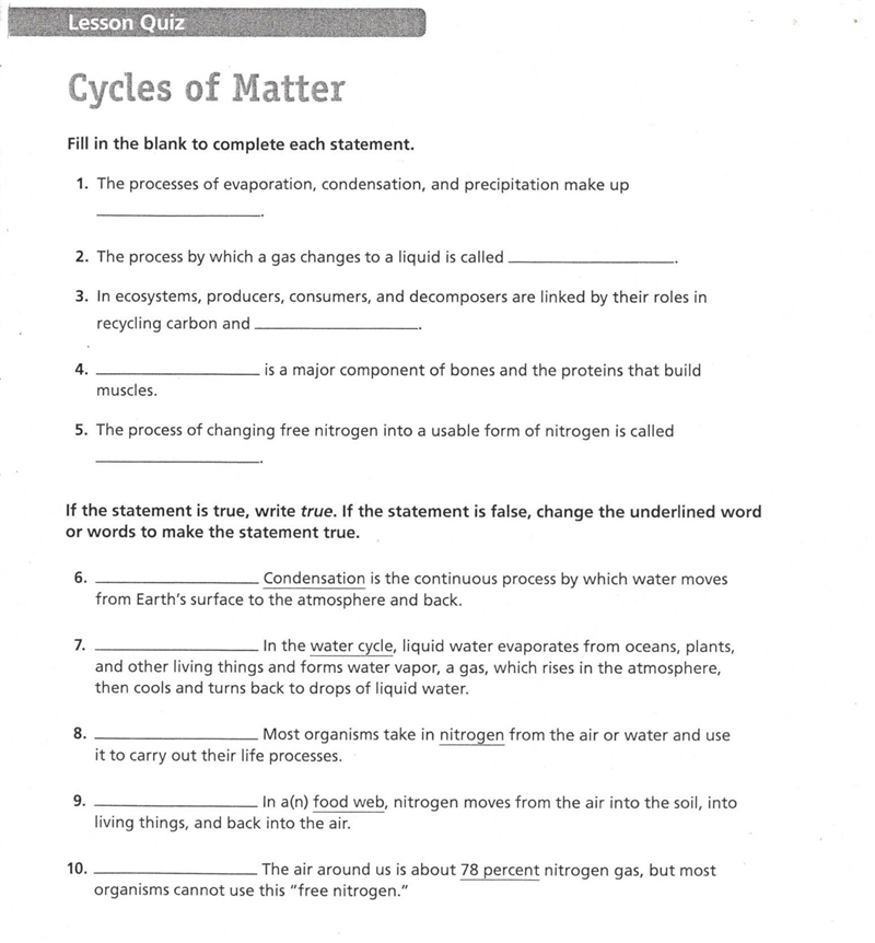 HELP PLEASE this is "Person Biology Chapter 2 lesson 2" tyytytytyty &lt-example-1