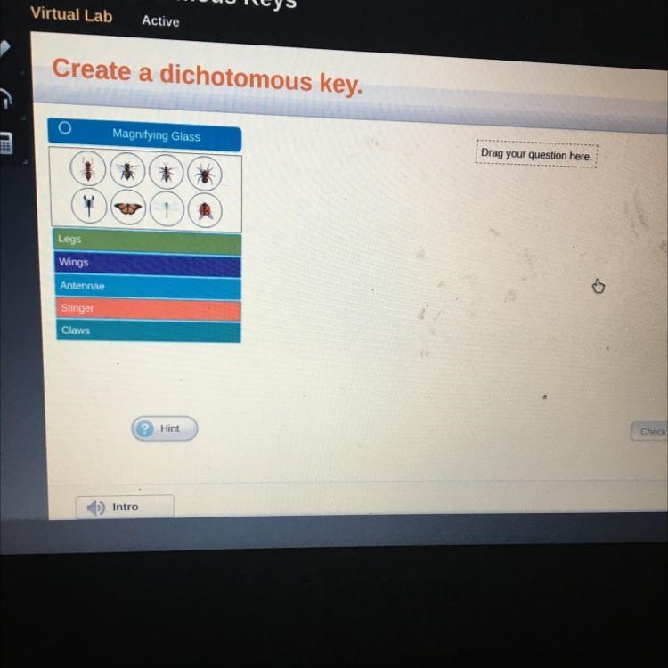 Virtual Lab Active Create a dichotomous key. O Magnifying Glass Drag your question-example-1