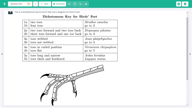 HELP PLEASE!!! THIS IS DUE IN A HALF HOUR. NO LINKS PLEASE-example-1