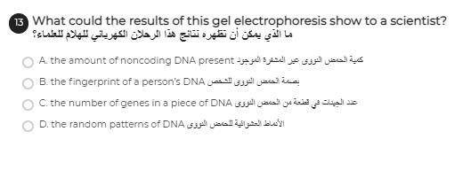 B13 help!! need answer-example-1