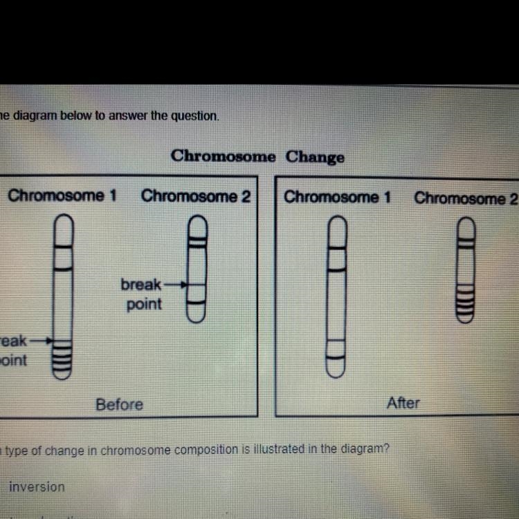 Which type of change in chromosome composition is illustrated in the diagram?-example-1