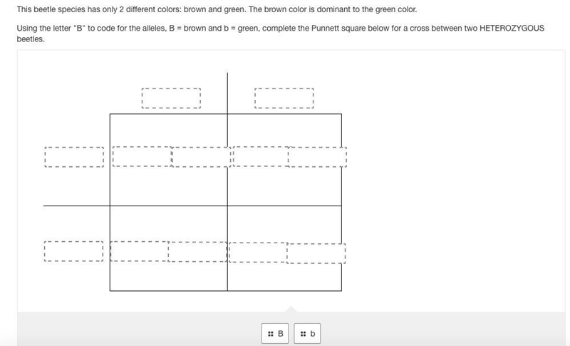 Please help me fill the squares-example-1