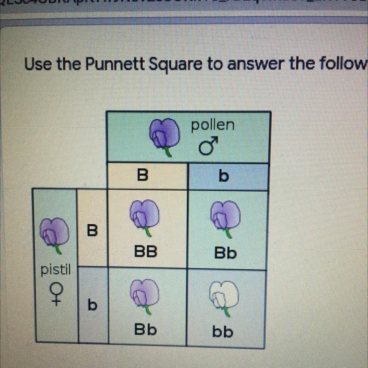 What genotype of the male parent is? A. BB B. Bb C.bb What genotype of the female-example-1