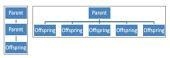 Plz help and dont take the points Which graphic organizer best represents asexual-example-1