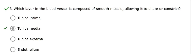 Which layer in the blood vessel is composed of smooth muscle, allowing it to dilate-example-1