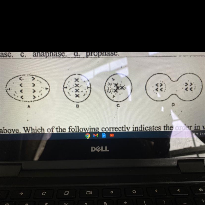 16. Refer to the illustration above. Which of the following correctly indicates the-example-1