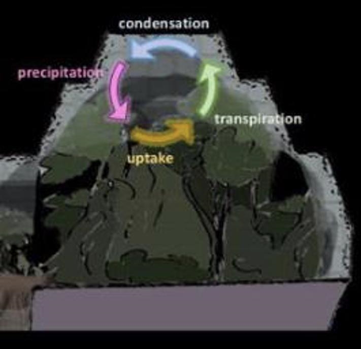 No links please thx! 1. Describe the course of the water cycle which formed in Biosphere-example-1