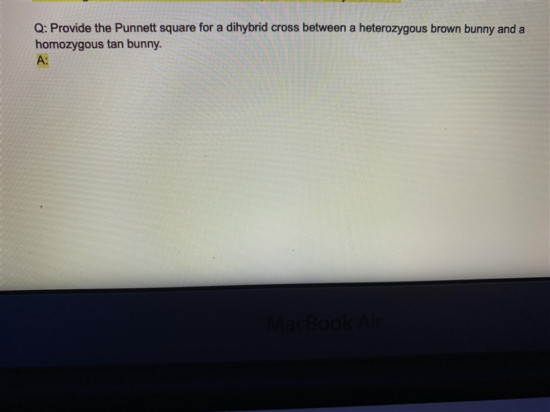 What’s is the punnet square?-example-1