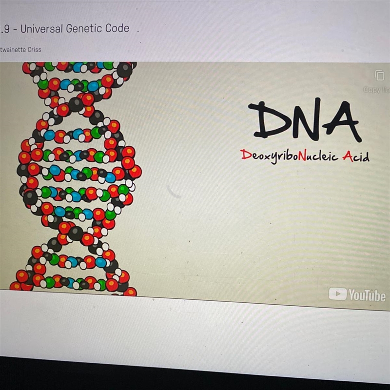 DNA is a A. lipid B. nucleic acid C. carbohydrate D. protein-example-1