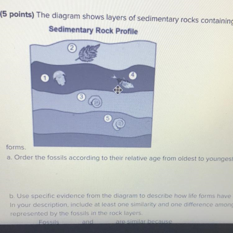 Pls help me I need a answer asap-example-1