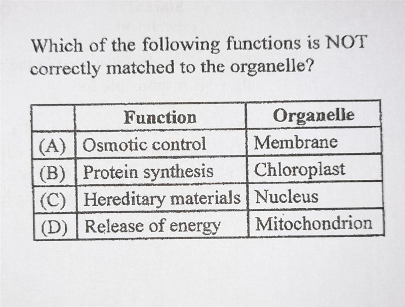 Please help me with this question!!​ I really don't know how to do this?-example-1