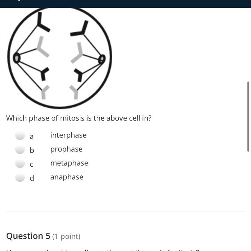 Please help me anyone wit bio-example-1