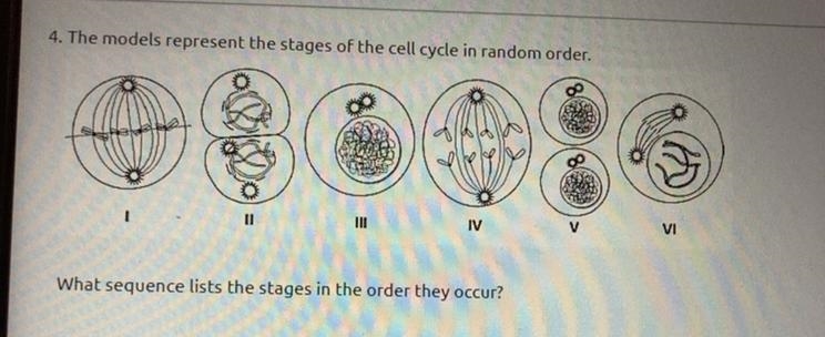 Answer pls! with the roman numerals-example-1