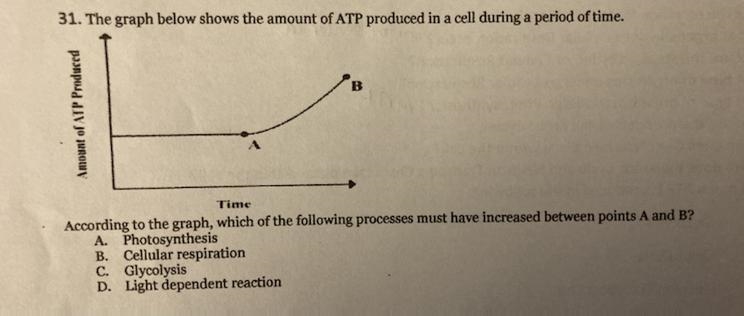 Which of the following processes must have increased between points A and B? A) Photosynthesis-example-1