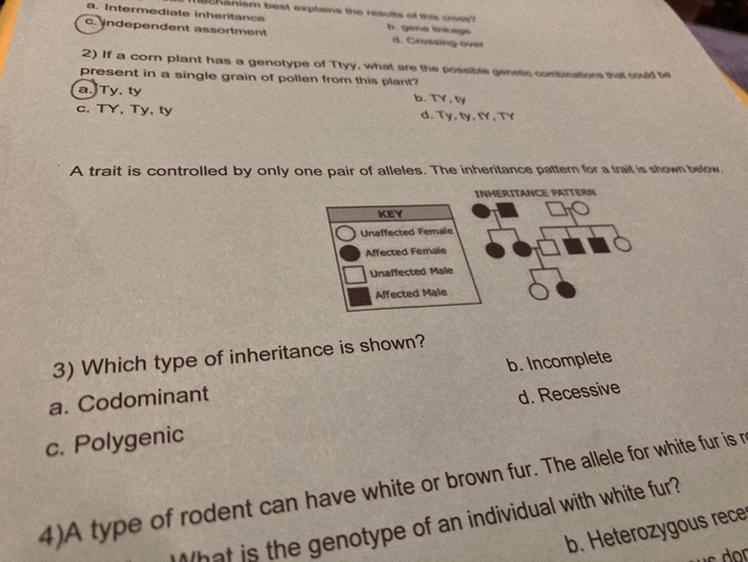 A trait is controlled by only one pair of alleles. The inheritance pattern for a trait-example-1