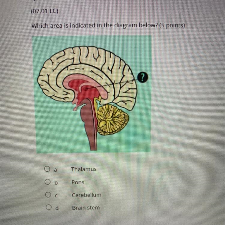 Which area is indicated in the diagram below? (5 points)-example-1