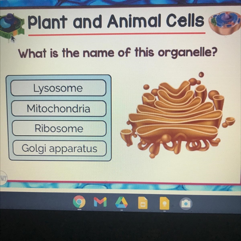 Plant and Animal Cells What is the name of this organelle?-example-1