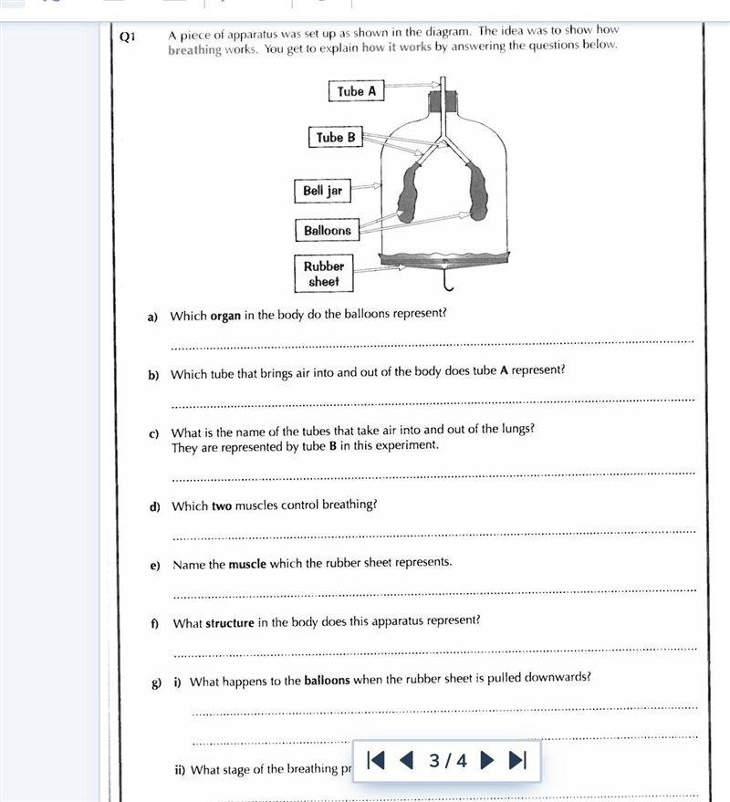 Pls i need help fast!!-example-1