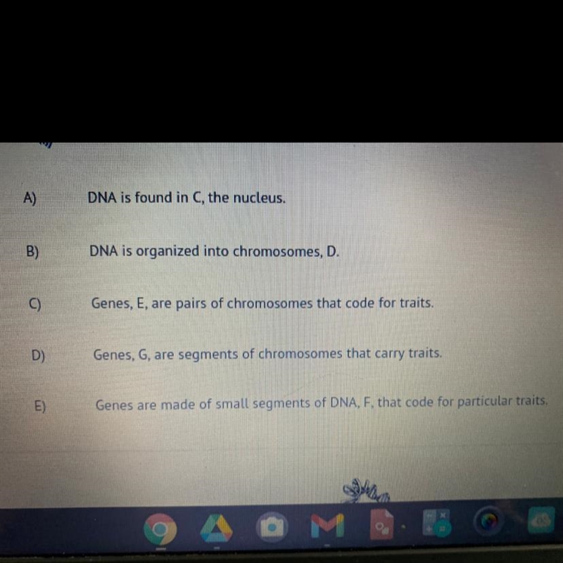 Evaluate the model.select that do NOT accurately identify the structures labeled in-example-1